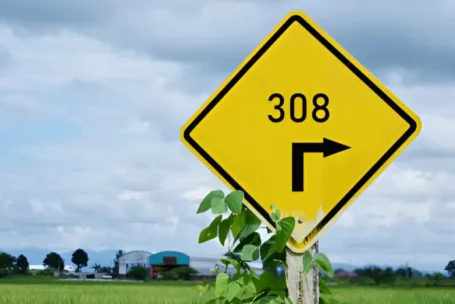 308 Permanent Redirect